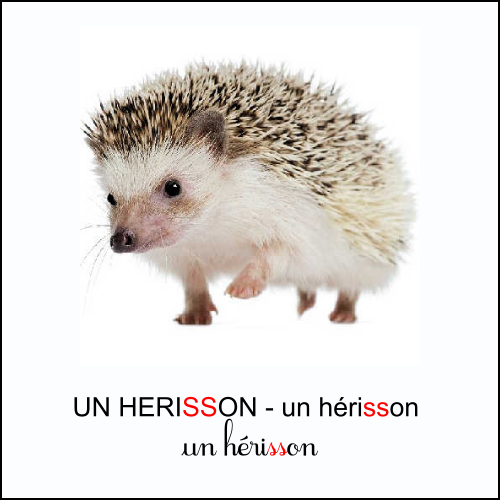 Le son